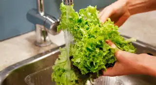 en person skyller salat under rindende vand