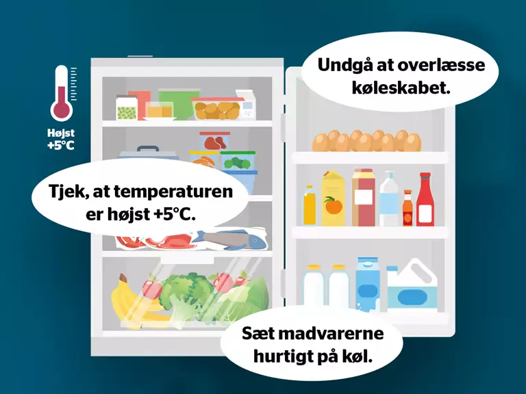 Køleskab med råd til opbevaring i køleskab