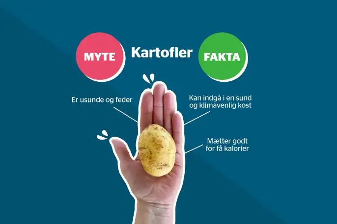 Kartofler er usunde = myte. Kartofler kan indgå i en sund og klimavenlig kost. mætter godt for få kalorier = fakta