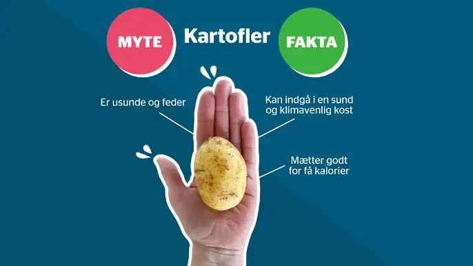 Myte: Kartofler er usunde og feder. Fakta: Kartofler kan indgå i en sund og klimavenlig kost. Mætter godt for få kalorier.