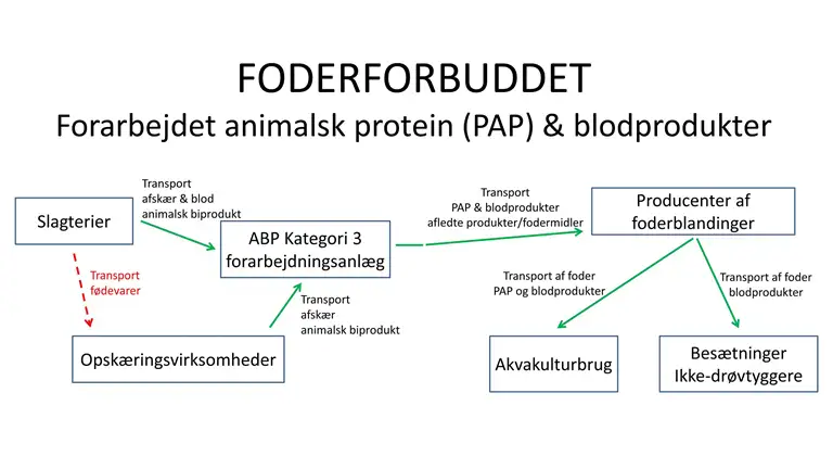 Figuren viser de animalske produkters vej gennem jord til bordkæden, fra slagterier og opskæringsvirksomheder til primærproducentens anvendelse af foder.