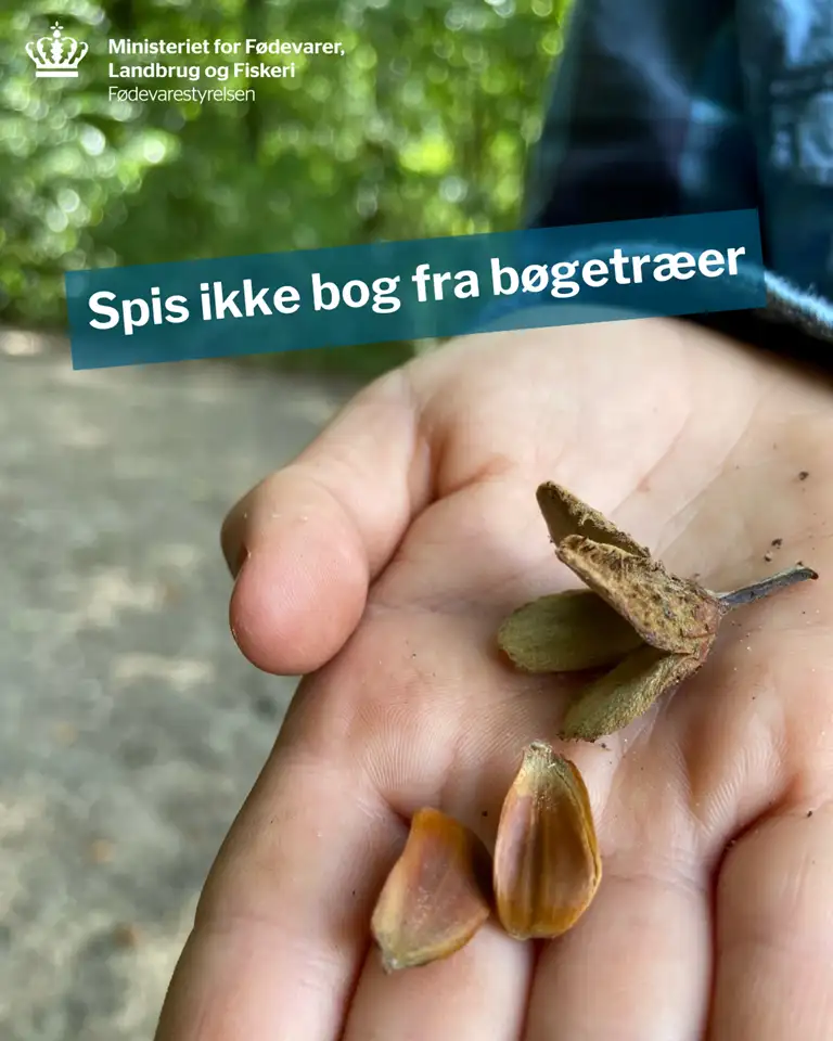 Bog fra b&oslash;getr&aelig;er i en h&aring;nd