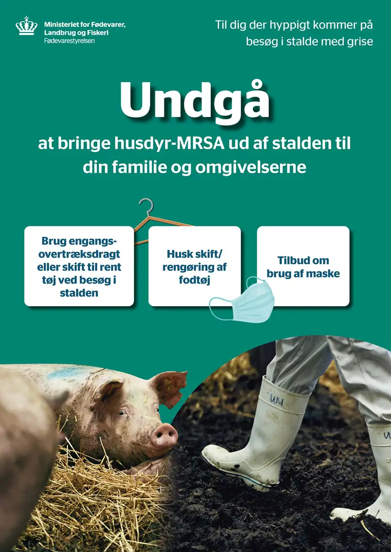 Poster til besøgende i stalde med budskabet om at huske smittebeskyttelse i relation til husdyr-MRSA i grisebesætninger