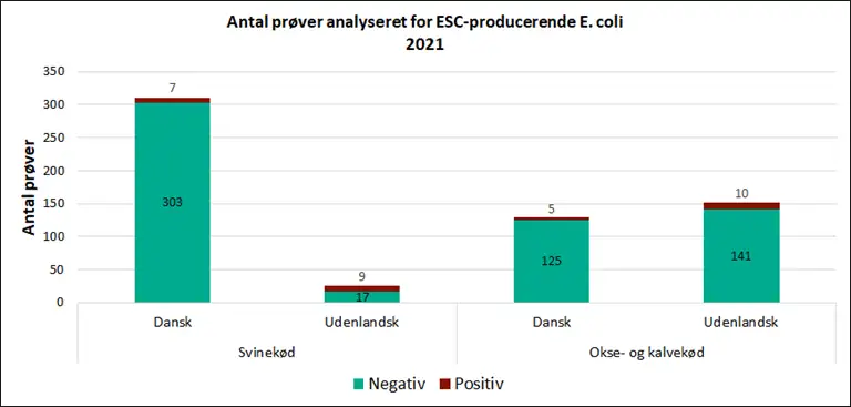 Billedet viser antal pr&oslash;ver analyseret for ESC-producerende E. coli i 2021 fordelt p&aring; svin-, okse- og kalvek&oslash;d samt resultaterne for analyserne (positiv eller negativ).