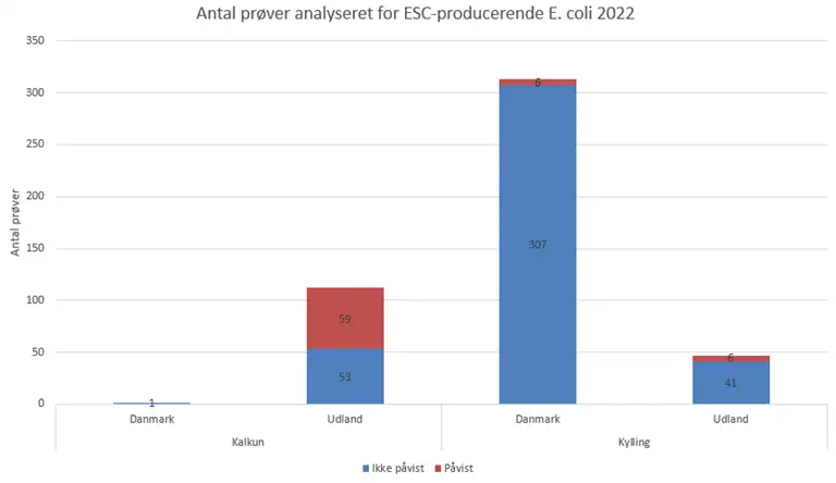Billedet viser antal pr&oslash;ver analyseret for ESC-producerende E. coli i 2022. Pr&oslash;verne er taget p&aring; kalkun og kylling med pr&oslash;ver fra b&aring;de DK og Udland