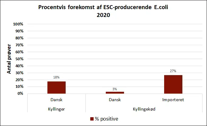 Billedet viser den procentvise forekomst af ESC-producerende E. coli i 2020 fordelt p&aring; blindtarmspr&oslash;ver fra kyllinger og kyllingek&oslash;d. 
