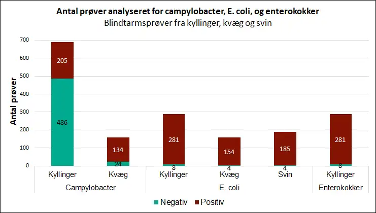 Billedet viser antal pr&oslash;ver analyseret for campylobacter, E. coli og enterokokker