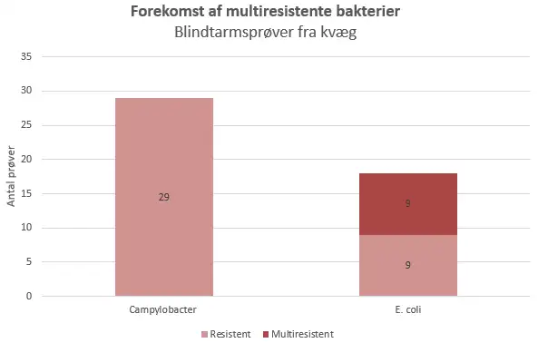 Billedet viser forekomst af multiresistente bakterier fra blindtarmspr&oslash;ver fra kv&aelig;g.