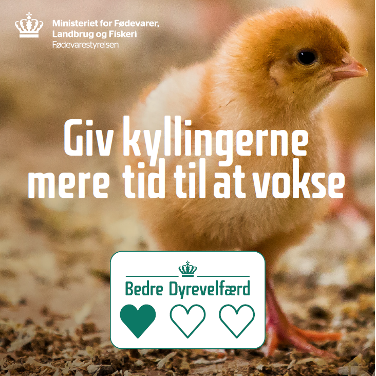 Kampagneposter: Kyllinger med Dyrevelfærdsmærket skal være af langsommere voksende race, så de har mere tid til at vokse.