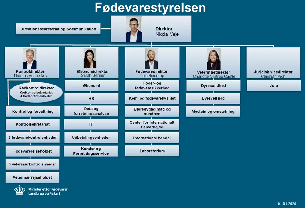 Organisationsdiagram 1. januar 2025