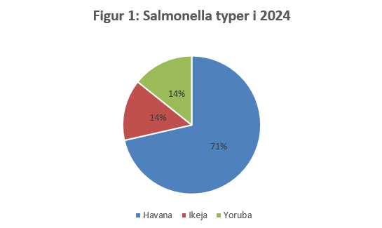 Figur 1 viser et cirkeldiagram, hvor man kan se, at 71% af de positive hygiejenepr&oslash;ver var af serotypen Havana, 14% var af serotypen Ikeja og 14% var af serotypen Yoruba i 2024.