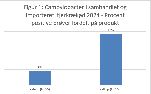 Figur 1 viser, at 4% af kalkunpr&oslash;verne var positive for campylobacter (N=55) og 13% af kyllingepr&oslash;verne var positive for campylobacter (N=158)