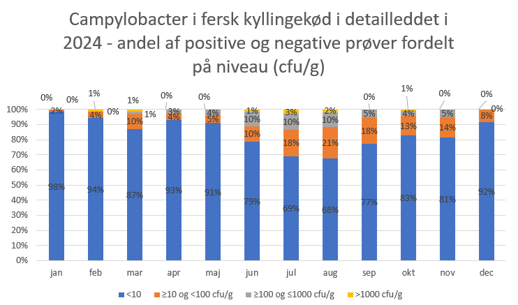 I tabellen kan man se, at andelen af positive pr&oslash;ver ikke er fordelt ligeligt over &aring;ret. De fleste positive pr&oslash;ver havde et campylobacterniveau p&aring; mellem 10 og 100 cfu/g. Der var flest positive pr&oslash;ver i juli og august. I juli havde 18% af pr&oslash;verne et campylobacterniveau p&aring; mellem 10 og 100 cfu/g, og i august udgjorde pr&oslash;ver med et campylobacterniveau p&aring; mellem 10 og 100 cfu/g 21% af pr&oslash;verne. I juli og august havde 10% af pr&oslash;verne en campylobacterkoncentration mellem 100 og 1000. I juli var 3% af pr&oslash;verne positive med en campylobacterkoncentration p&aring; over 1000 cfu/G og i august var det 2 % af pr&oslash;verne.