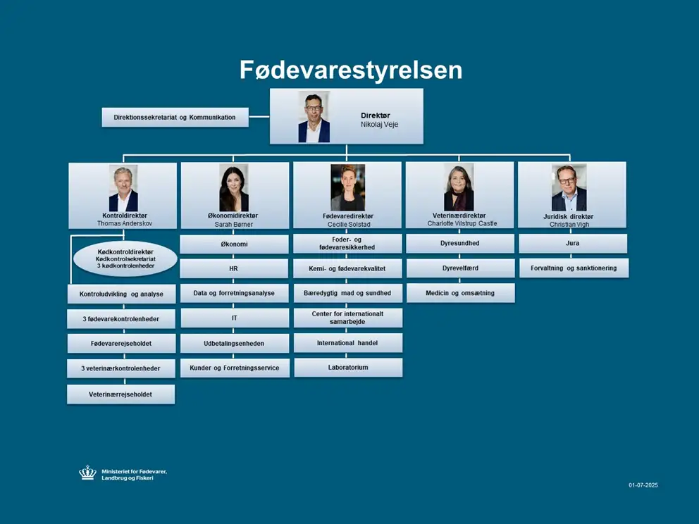 Organisationsdiagram 1. januar 2025