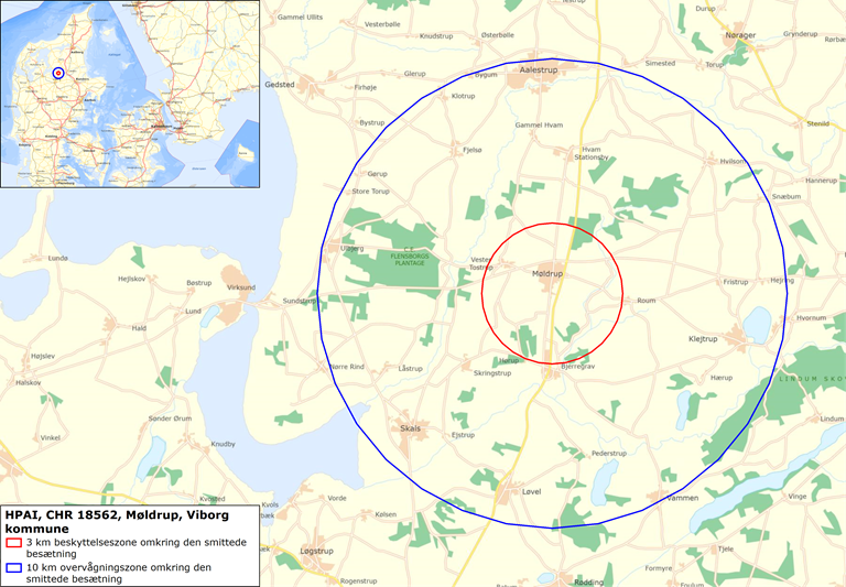 Zonekort over restriktionszoner omkring kalkunbesætning nord for Viborg