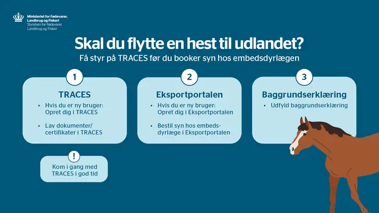 Skal du flytte hest til udlandet? Få styr på traces før du booker syn hos embedsdyrlægen