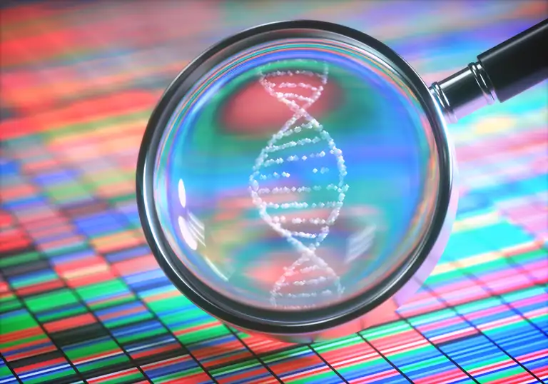 Nyt digitalt værktøj før det muligt for myndighederne at sammenligne bakterier helt ned på DNA-niveau