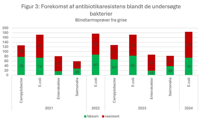 Figur 3 viser forekomsten af antibiotikaresistens blandt e.coli, campylobacter, enterokokker og salmonella isoleret fra blindtarmspr&oslash;ver fra grise. Der ses ingen tydelig udvikling af forekomsten af resistens over tid. Ikke alle bakterietyper er unders&oslash;gt for resistens hvert &aring;r.