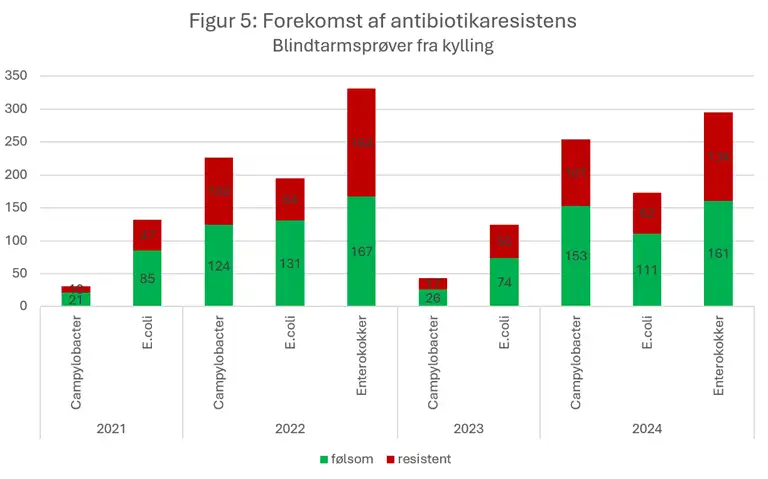 Figur 5 viser forekomsten af antibiotikaresistens blandt Campylobacter, E. coli og enterokokker i blindtarmspr&oslash;ver fra kyllinger. I &aring;rene 2021-2024 ses resistente isolater hos alle unders&oslash;gte bakterietyper. I 2024 ses det, at enterokokker har det h&oslash;jeste antal resistente isolater, efterfulgt af Campylobacter, mens E. coli har f&aelig;rre resistente isolater. Der ses variation over antal pr&oslash;ver mellem &aring;rene, og der ses ingen tydelig udvikling i resistensforekomsten over tid.