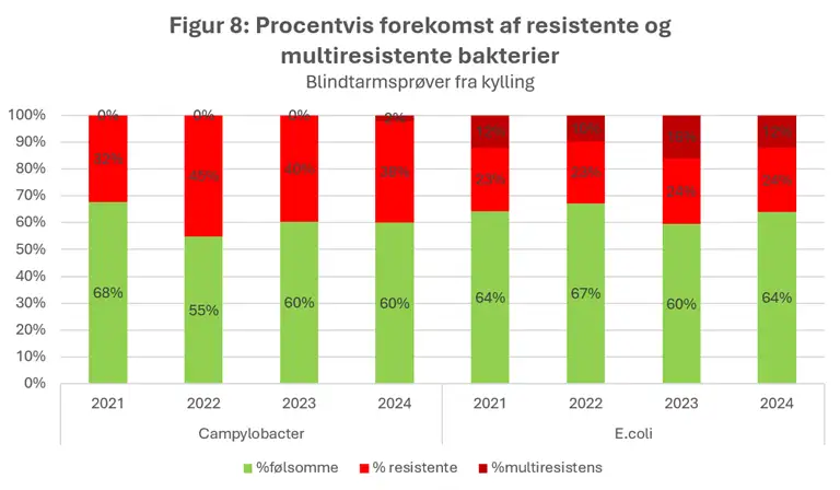 Figur 8 viser den procentvise fordeling af f&oslash;lsomme, resistente og multiresistente campylobacter- og e. coli-isolater fra blindtarmspr&oslash;ver fra kyllinger i perioden 2021-2024. Blandt campylobacter varierer andelen af resistente isolater mellem 32 % og 45 %, mens multiresistens stort set ikke forekommer og kun ses i 2024 med 2 %. Blandt e. coli er resistens mindre udbredt end hos campylobacter, men multiresistens forekommer hvert &aring;r og varierer mellem 10 % og 16 %. Samlet set ses ingen tydelig udvikling over tid.