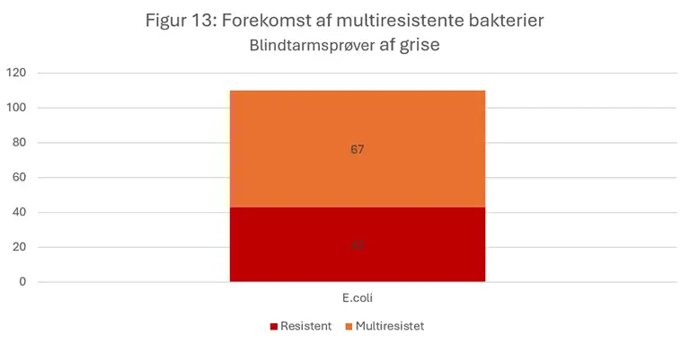Figur 13 viser forekomsten af multitresistente bakterier og resistente bakterier.