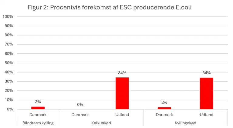 Figur 2 viser den procentvise forekomst af ESC producerende e.coli. Man kan se at 3% af kyllingeblindtarmspr&oslash;verne er positive for ESC producerende e.coli. 34% af de udenlandske kalkunpr&oslash;ver er positive for ESC producerende E.coli. Tilsvarende er 34% af de udenlandske pr&oslash;ver af kyllingek&oslash;d er positive, mens 2% af de danske pr&oslash;ver er positive.